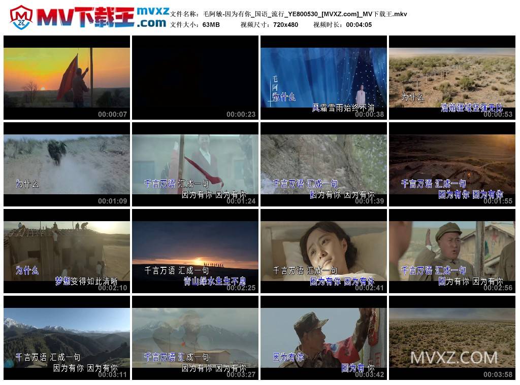 毛阿敏-因为有你_国语_流行_YE800530